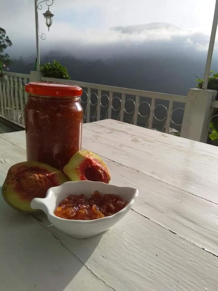 The Farm House Nuwaraeliya Nuwara Eliya Zewnętrze zdjęcie