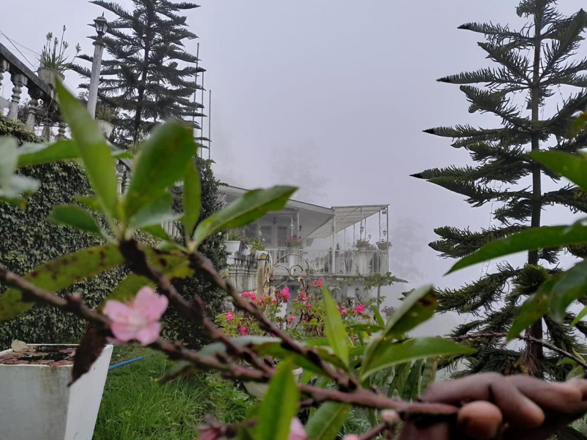 The Farm House Nuwaraeliya Nuwara Eliya Zewnętrze zdjęcie