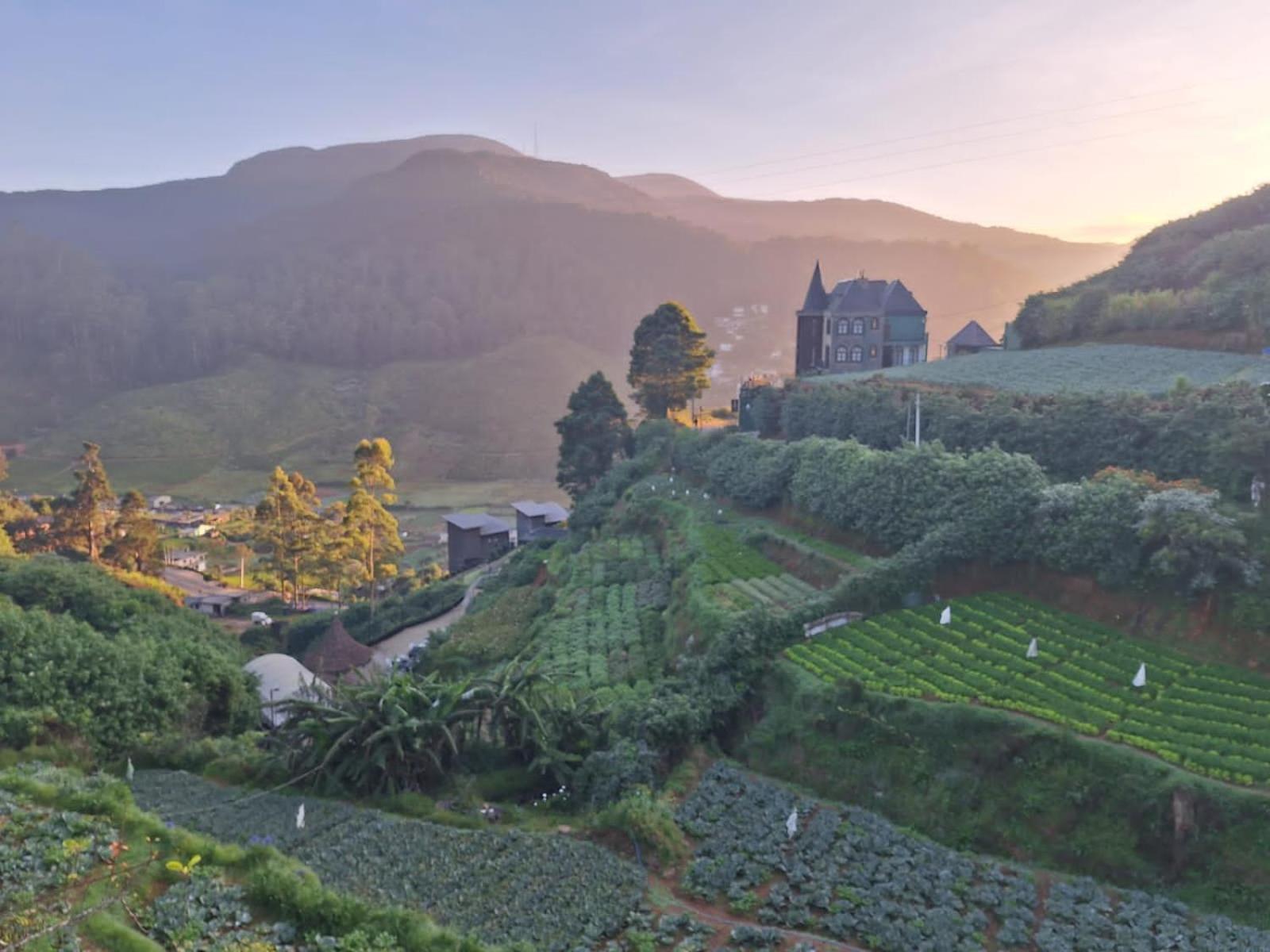 The Farm House Nuwaraeliya Nuwara Eliya Zewnętrze zdjęcie