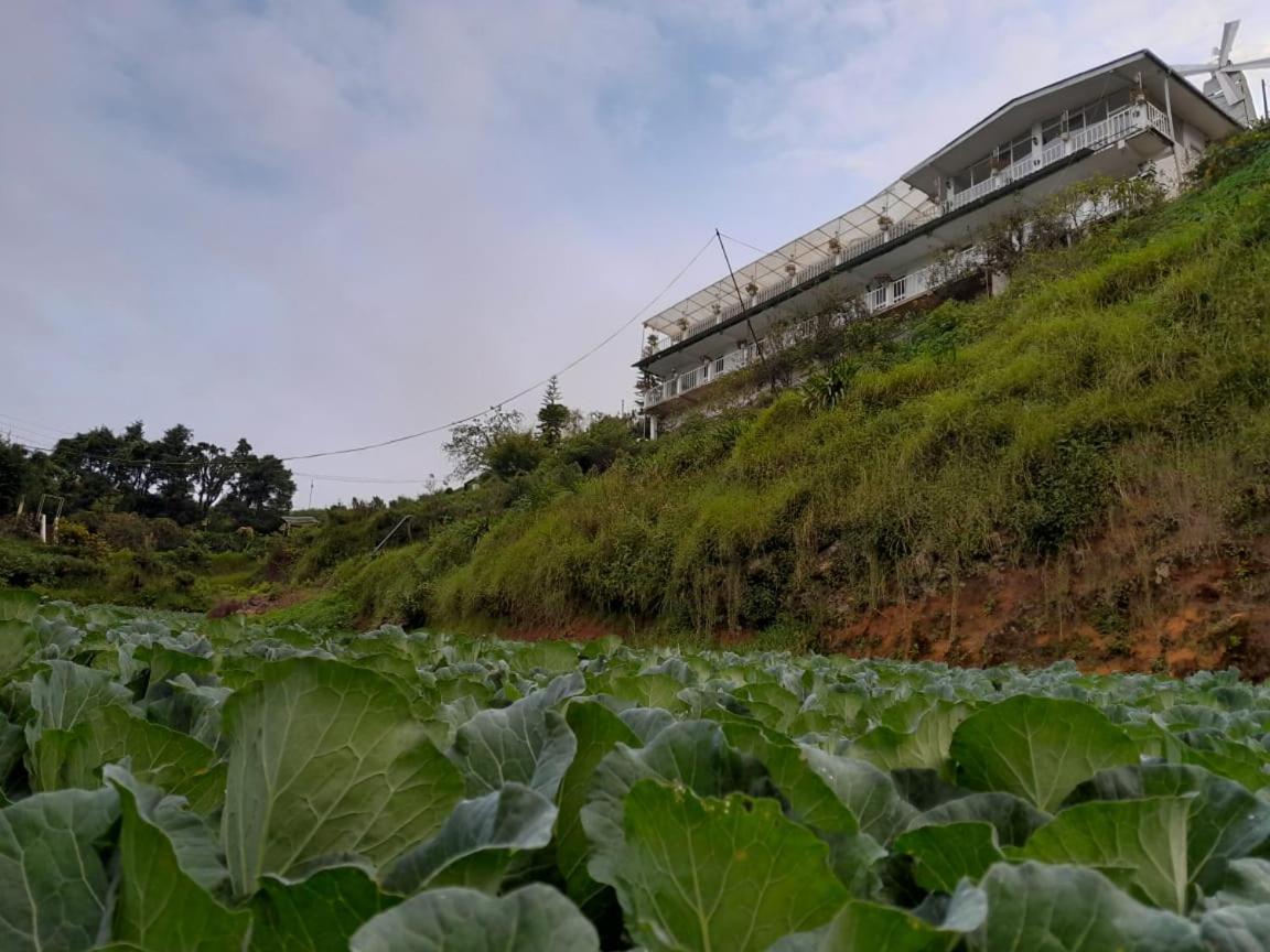 The Farm House Nuwaraeliya Nuwara Eliya Zewnętrze zdjęcie